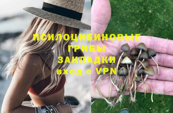 a pvp Белоозёрский