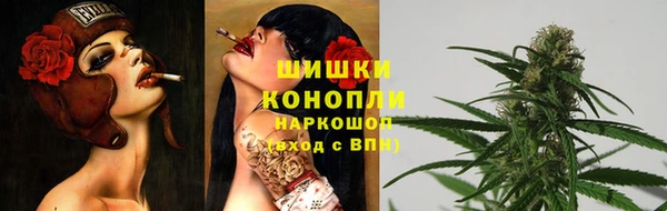 ПСИЛОЦИБИНОВЫЕ ГРИБЫ Белокуриха