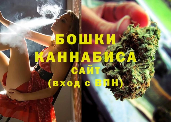 ПСИЛОЦИБИНОВЫЕ ГРИБЫ Белокуриха