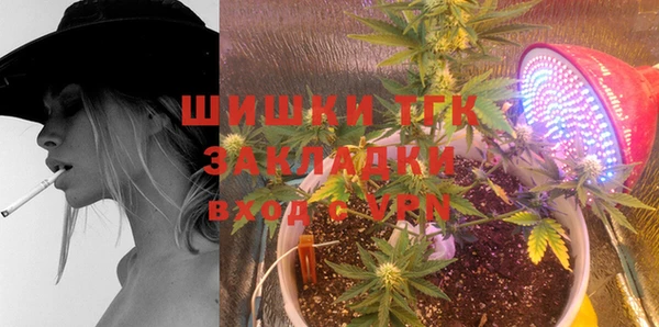 ПСИЛОЦИБИНОВЫЕ ГРИБЫ Белокуриха