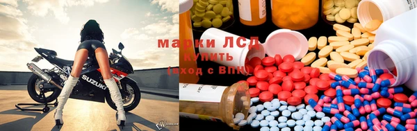 ПСИЛОЦИБИНОВЫЕ ГРИБЫ Белокуриха